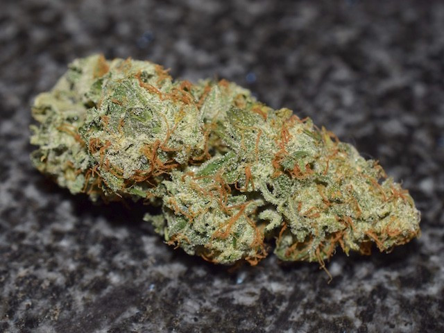 Northern Lights samonakvétací semena 5 ks Seedstockers