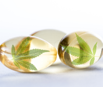 Can using marijuana make injuries much more painful?