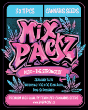 MIX PACKZ Auto High Voltage, samonakvétací semena, 33 ks