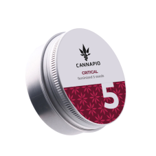 Critical - feminizovaná semena konopí, 5 ks, Cannapio