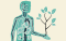 5 Ways Our Body Absorbs Cannabis