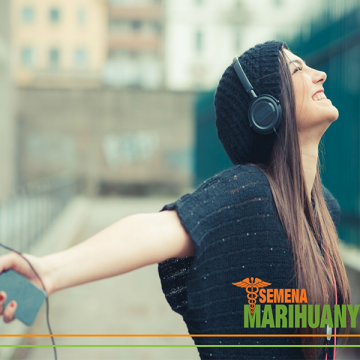 Music sounds better under the influence of cannabis. Why?
