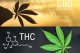 THE IDEAL RATIO OF CBD AND THC: HOW TO FIND THE BEST ONE FOR YOUR NEEDS?