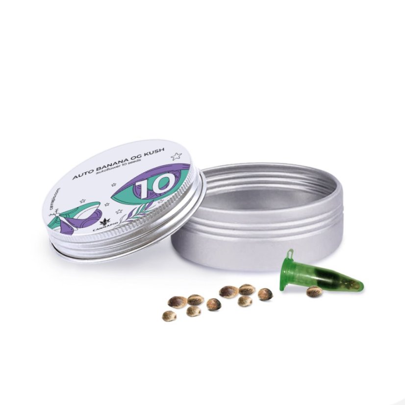 Auto Banana OG Kush - autoflowering seeds 10 pcs Cannapio