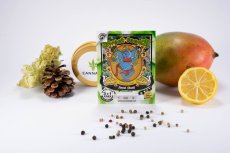 Sweet Skunk Fast Version – 3 ks feminizovaná semienka Sweet Seeds