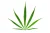 Semená Sativa