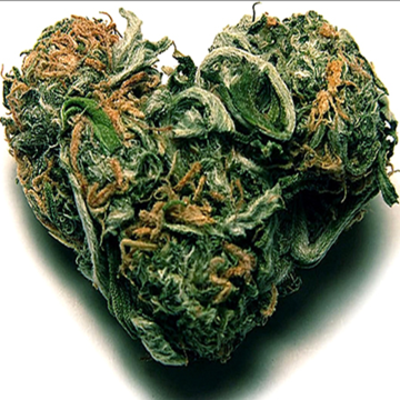 Beeinflusst der Konsum von Cannabis den Herzrhythmus?