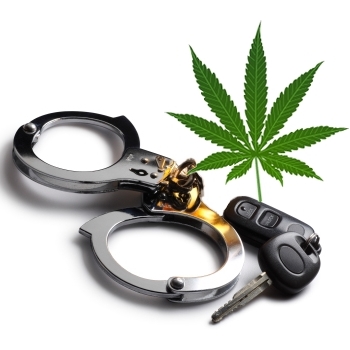 Marihuana za volantem: Co vás čeká při kontrole? Zákony, testy a tresty