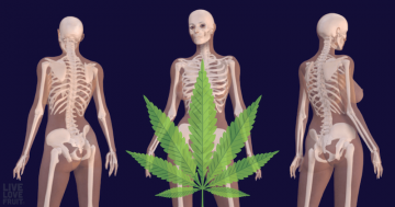Poważne uzależnienie od marihuany może być szkodliwe dla kości
