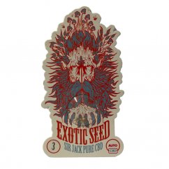 Sir Jack Pure CBD Auto - automatycznie kwitnące nasiona marihuany, 3 sztuki Exotic Seed