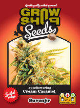 Karamellcreme - 5 fem. und Growshop-Samen