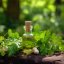 BIO Koriandrové olej (Coriandrum sativum) 10ml