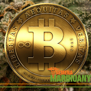 Cannabis, Bitcoin und Zukunft
