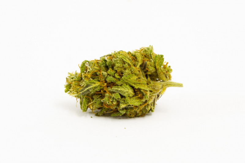 Infinity - Indoor CBD květy Cannapio 50g