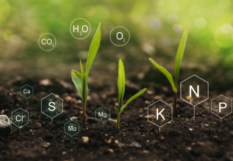 Soil nutrient problems and solutions