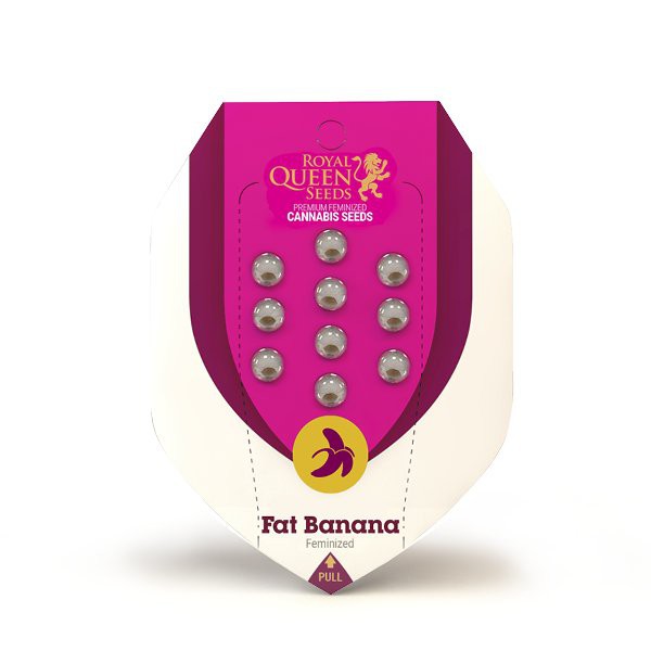 Fat Banana - feminisierte Samen 3 Stück Royal Queen Seeds