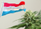 Historical Milestone: Luxembourg Legalizes Cannabis Use for Personal Purposes