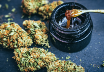 Unterschiede zwischen der Anwendung von medizinischem Cannabis in Form von Blüten und Konzentrat, die Sie kennen sollten