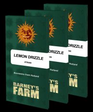 Lemon Drizzle - feminisierte Samen, 3 Stück, Barneys Farm
