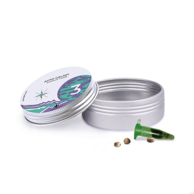 Auto Galaxy - nasiona autoflowering 3 szt. Cannapio