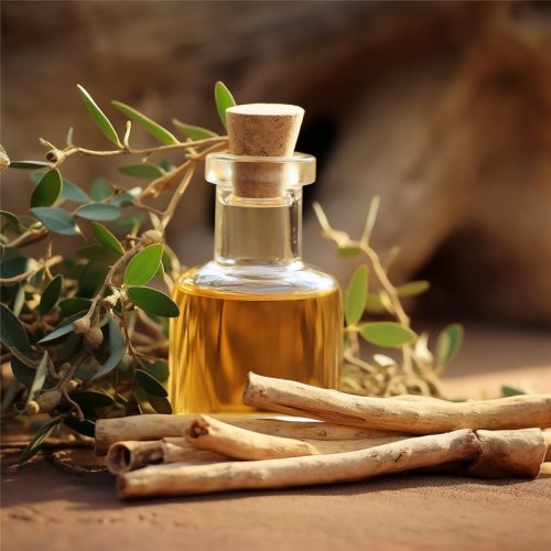 Indický ženšen - 100% prírodný esenciálny olej (10ml) - Pestík