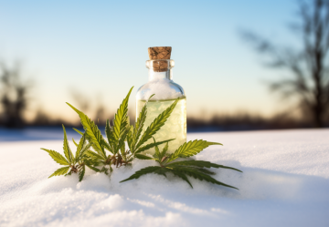Der Winter naht: 5 entscheidende Gründe, CBD griffbereit zu haben!