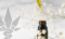 Hemp concentrates