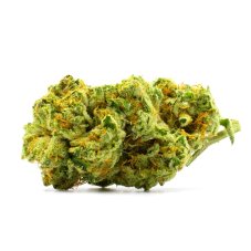 Blimburn Seeds Lemon OG feminizovaná semena