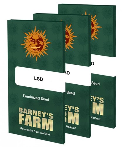 L.S.D. – feminizované semienka 3 ks Barney Farms