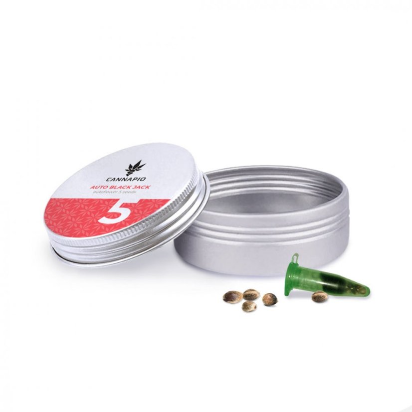 Auto Black Jack - 5 Graines Autofloraison Premium Cannapio