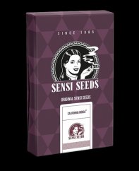 California Indica - feminizovaná semena marihuany, 3ks Sensi Seeds