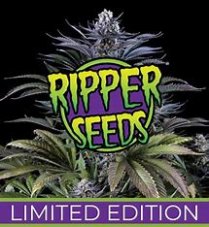Ripper Seeds Limited 2a feminisierte Samen