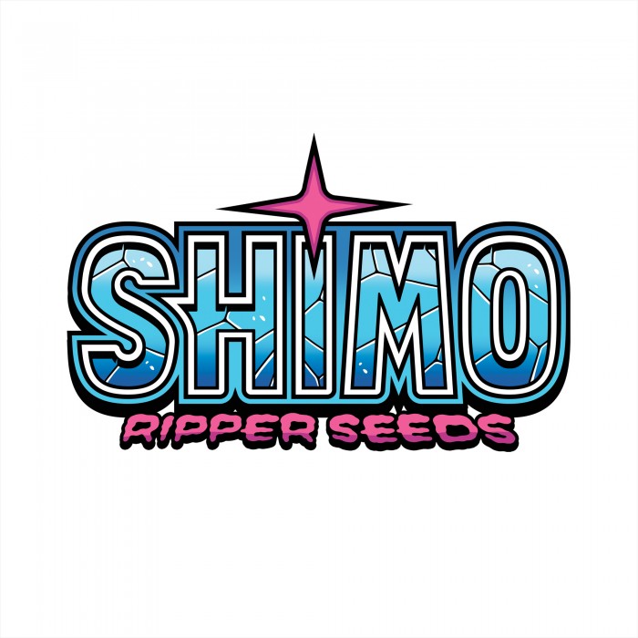 Shimo - feminizovaná semena, 5 ks, Ripper Seeds