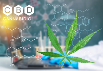 Potenz von CBD im Vergleich zu CBD mit anderen Cannabinoiden