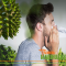 Allergy to medical cannabis