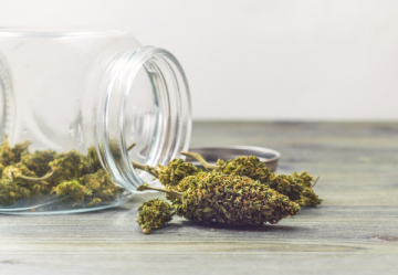 5 potente Sorten von medizinischem Cannabis, die Sie kennen sollten