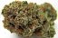 Bubba Kush - feminizovaná semienka 5ks Humboldt