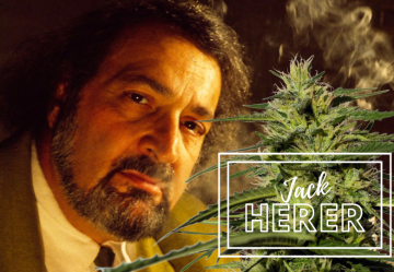 Jack Herer: Konopný aktivista a legenda