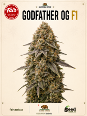 Fair Seeds Godfather OG F1 Feminized Seeds