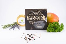 White Strawberry Skunk - 3 graines féminisées Premium Strain Hunters