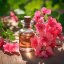 BIO Pelargónia ružová - 100% prírodný esenciálny olej (10ml) - Pestík