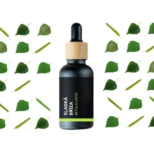 BIO Sladká bříza - 100% přírodní esenciální olej (10ml) - Pěstík