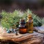 BIO Borievka obyčajná - 100% prírodný esenciálny olej (10ml) - Pestovník