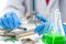 Universities and Research: Which Universities are Studying CBD?