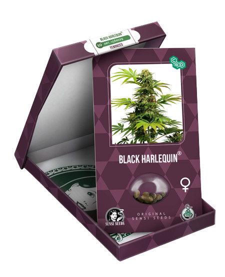 Black Harlequin CBD - feminizovaná semínka 3 ks, Sensi Seeds