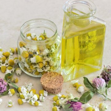 Bisabololo: Terpene della Cannabis - Profilo Aromatico e Effetti