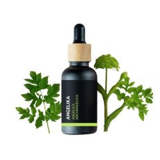 BIO Angelika - 100% prírodný esenciálny olej (10ml) - Pestík