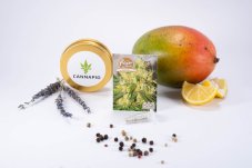 Cheese - feminisierte Samen 10 Stück Fair Seeds