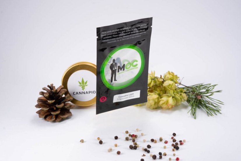 Cannabis Light - feminizovaná semienka 5ks Ministry of Cannabis