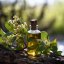 BIO Myrta - 100% přírodní esenciální olej (10ml) - Pěstík